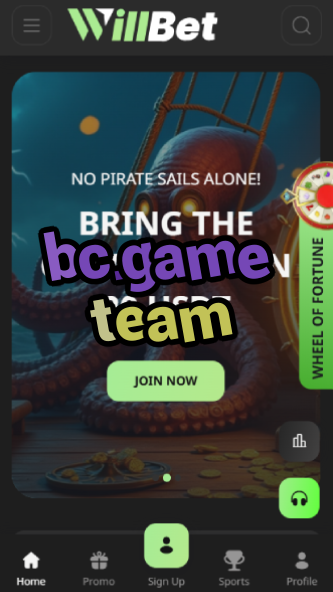 BC.Game Team: Meet the Developers-vz72fvrf.com
