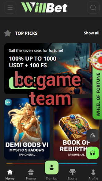 BC.Game Team: Meet the Developers-vz72fvrf.com