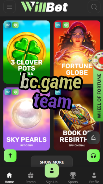 BC.Game Team: Meet the Developers-vz72fvrf.com